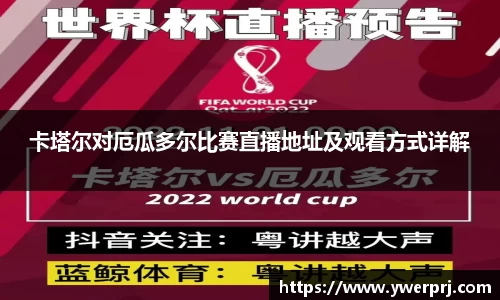 卡塔尔对厄瓜多尔比赛直播地址及观看方式详解